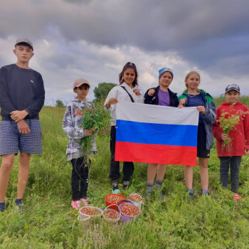 Сладкий привет для защитников СВО!